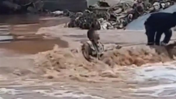 لقطة من الفيديو