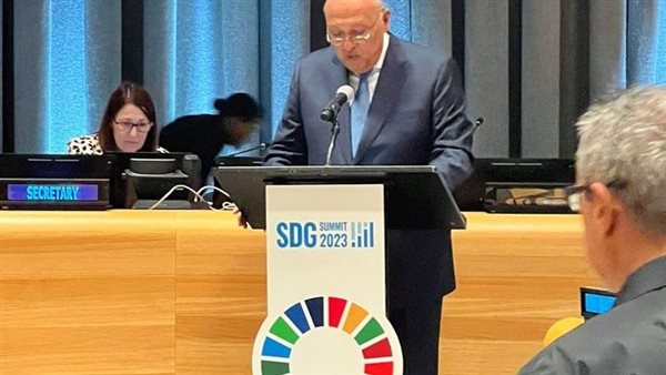 وزير الخارجية 