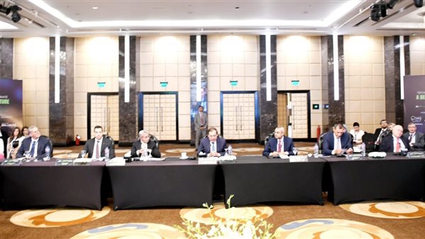 وزير البترول 