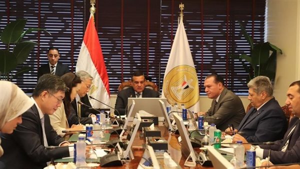 وزير التنمية المحلية