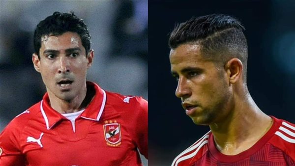 رضا سليم ومحمد بركات