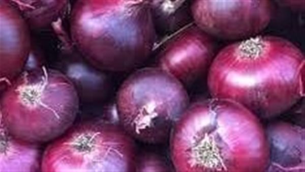 أسعار البصل اليوم