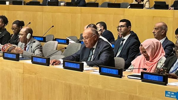 وزير الخارجية 