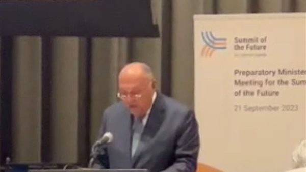 وزير الخارجية 