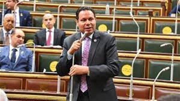  النائب هشام الحصري