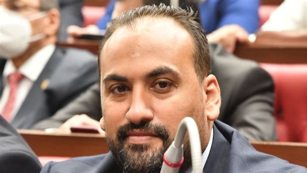 النائب محمد الرشيدي،