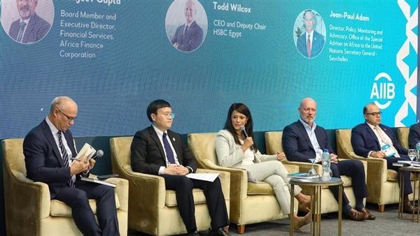 وزيرة التعاون الدولى