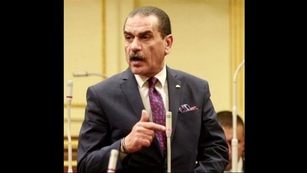 النائب مجدي عاشور