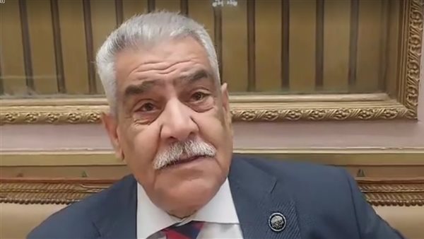 النائب محمود الضبع