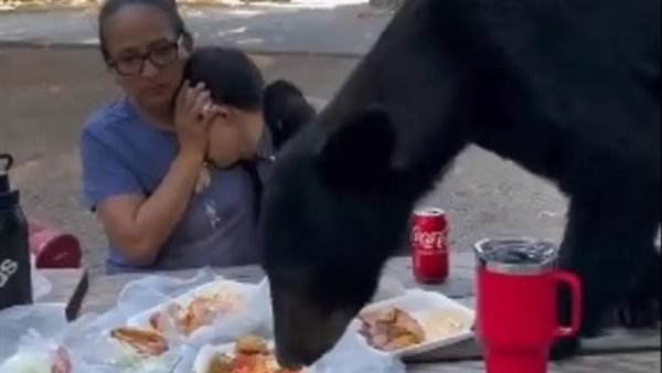 لقطة من الفيديو