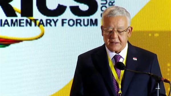  المستشار الدكتور