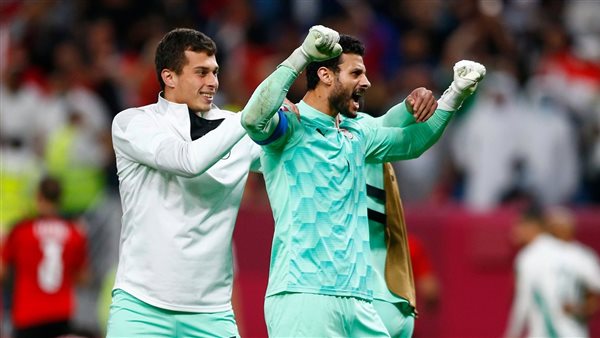 محمد الشناوي 