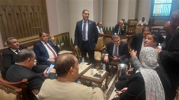 نواب البرلمان 