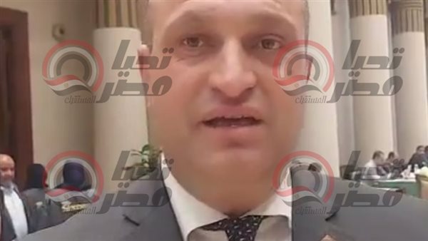 النائب أحمد رمزي،