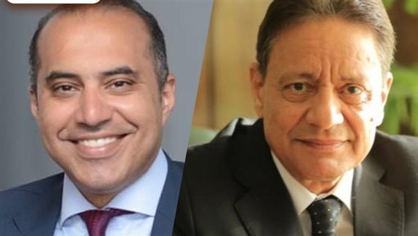 المستشار محمود فوزى