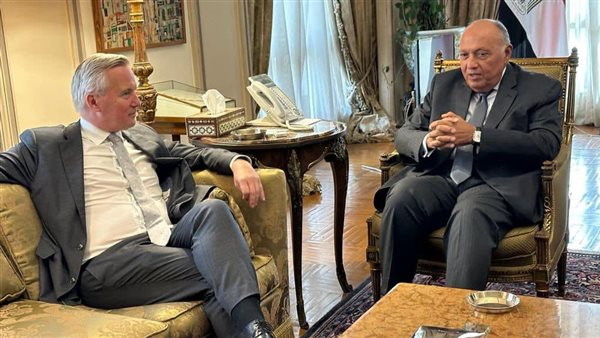 وزير الخارجية المصري