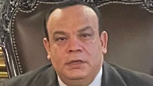 المستشار حازم بدوي