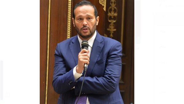 النائب محمد حلاوة