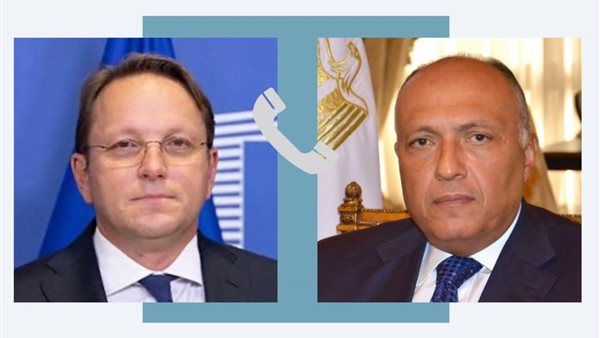 وزير الخارجية المصري-