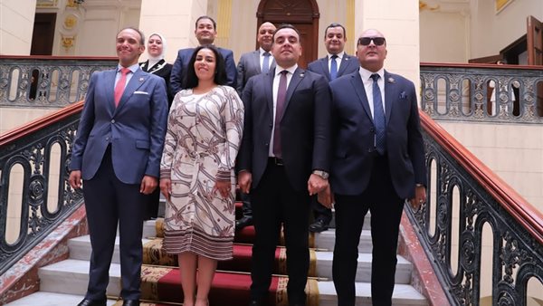 نواب تنسيقية شباب