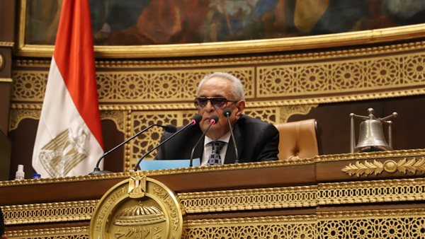 بهاء أبو شقة