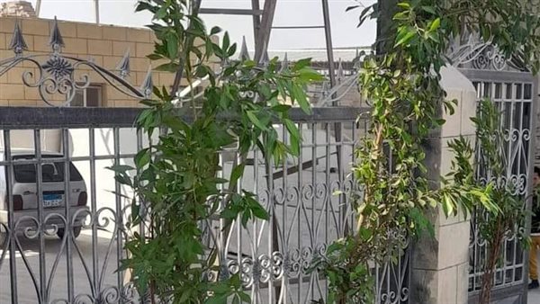 تشجير شق الثعبان