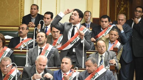 النائب ضياء الدين