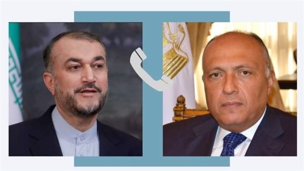 سامح شكرى يتلقي اتصالا