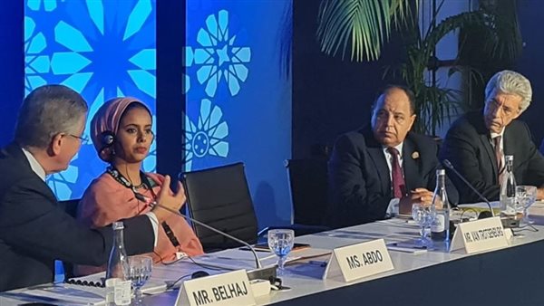 وزير المالية 