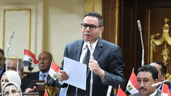  النائب هشام الحصري