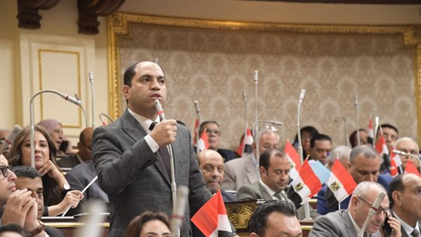  النائب عمرو درويش