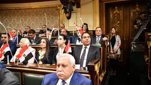 النائب أيمن أبو العلا