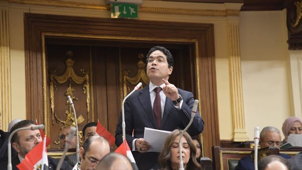  النائب ضياء الدين