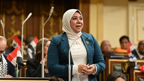 النائبة هيام الطباخ