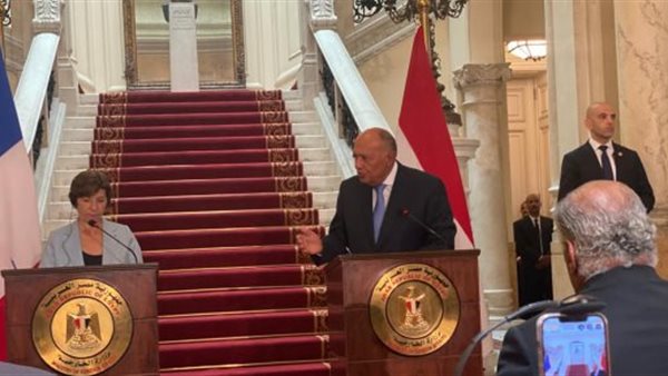 وزير الخارجية المصري