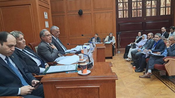 محلية النواب