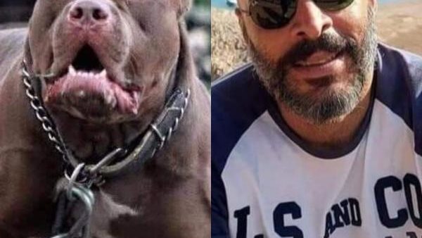 زوج المذيعة أميرة