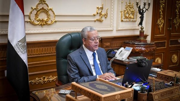 المستشار الدكتور