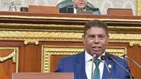 النائب محمد عوض السيد