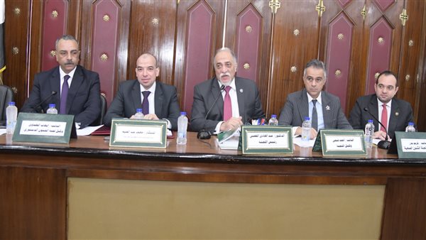 لجنة التضامن الإجتماعي