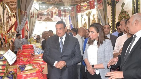 وزير التنمية المحلية