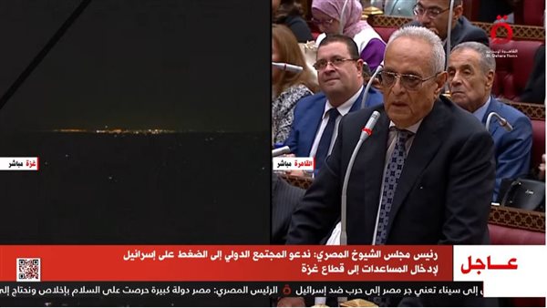 بهاء أبو شقة