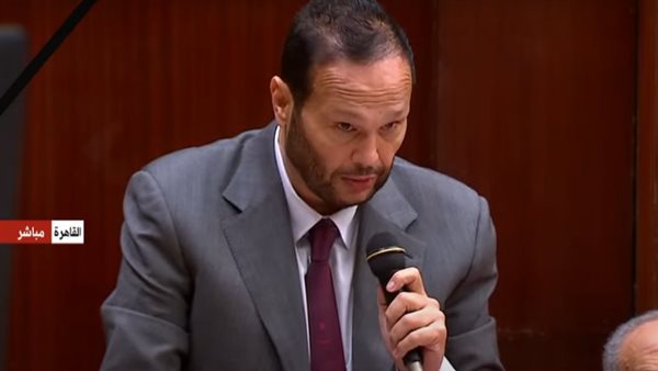  النائب محمد حلاوة