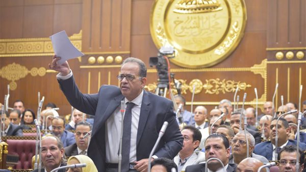  النائب طارق عبد