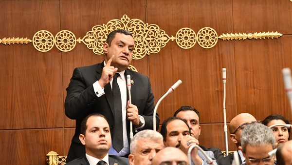 النائب أكمل نجاتي