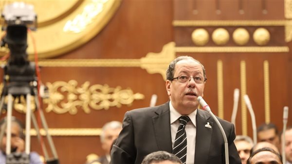 النائب محمد شوقي