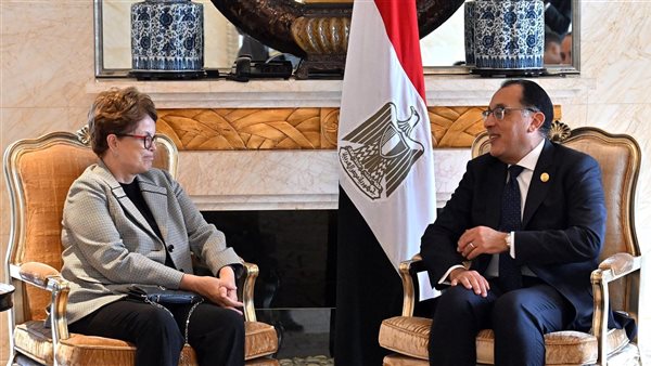 رئيس الوزراء يلتقي