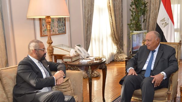 وزير الخارجية المصري