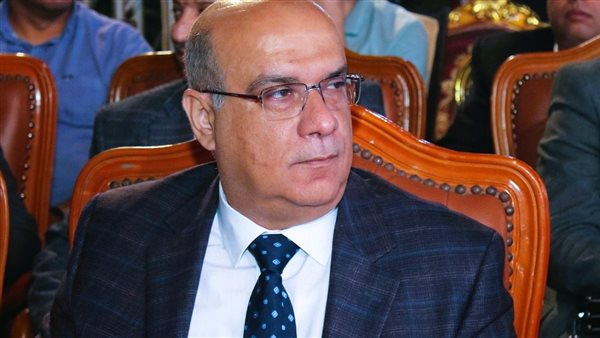 قيادي بمستقبل وطن