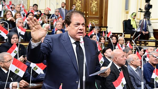 محمد ابو العنين